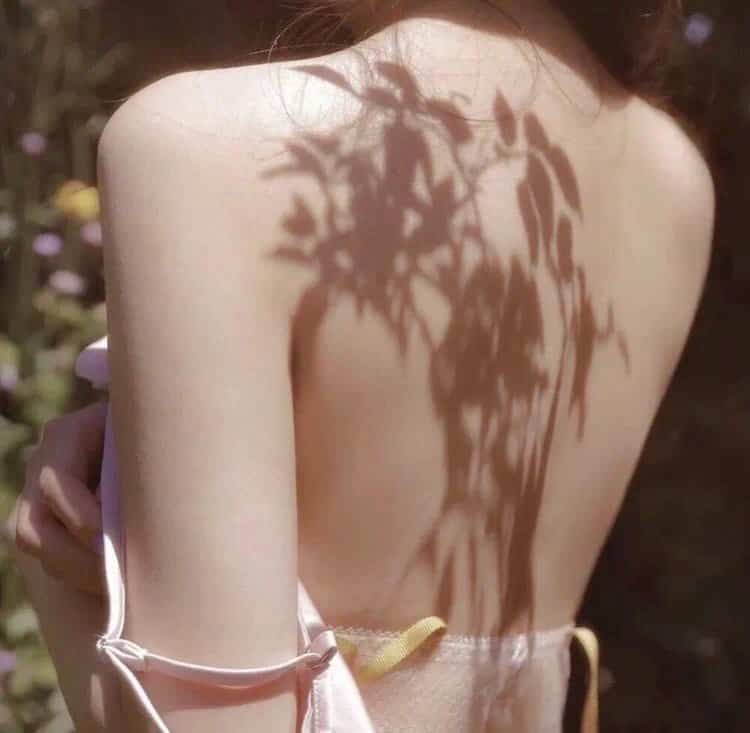 奇幻史诗:指环王三部曲